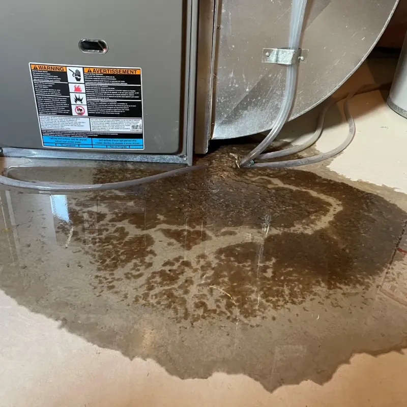 Appliance Leak Cleanup in West Lynchburg, VA